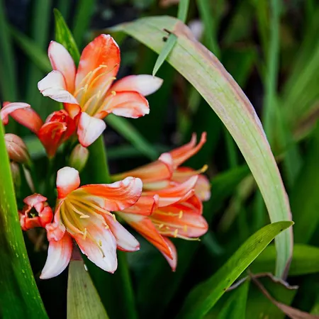 In53 Гостевой дом 3*