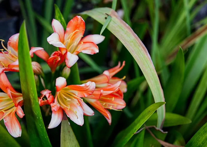 In53 Гостевой дом 3*